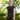 Chemise fonctionnelle ELT Springfield