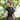 Collants d'équitation ELT Susann
