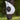 Vliegenmasker Puck Breath