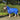 QHP Winterdeken turnout met hals 300gr Splash 105/75